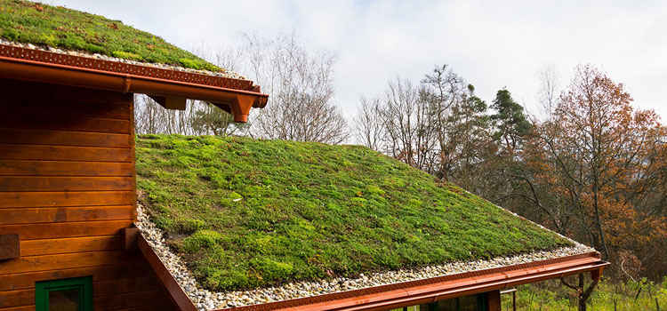 Los Alamitos Residential Green Roof