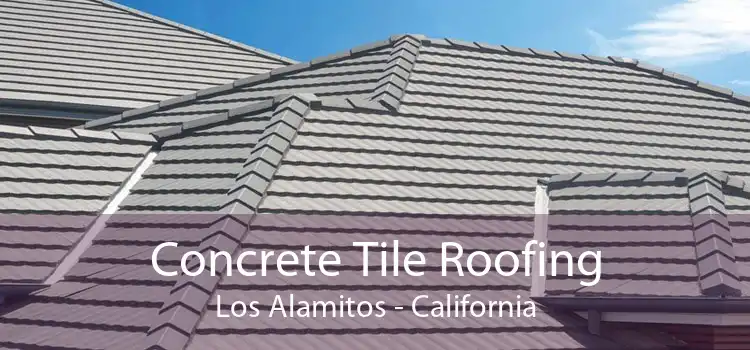 Concrete Tile Roofing Los Alamitos - California