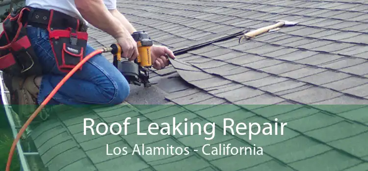 Roof Leaking Repair Los Alamitos - California