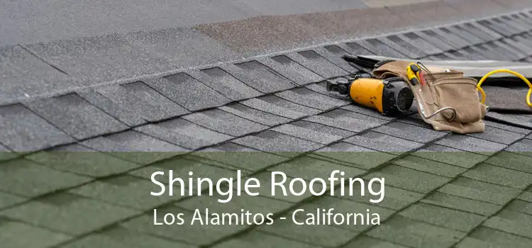 Shingle Roofing Los Alamitos - California