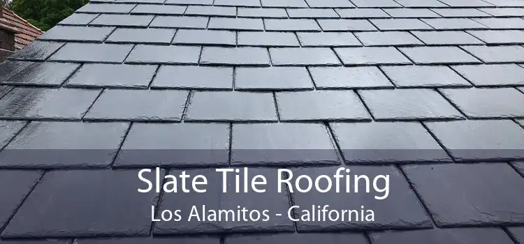 Slate Tile Roofing Los Alamitos - California