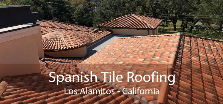 Spanish Tile Roofing Los Alamitos - California
