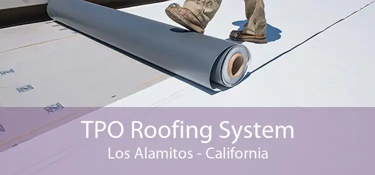 TPO Roofing System Los Alamitos - California